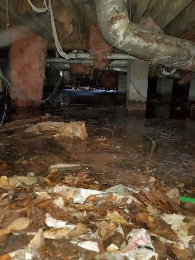 Crawl space flood assessment for Leak Detection & Repair in Daphne